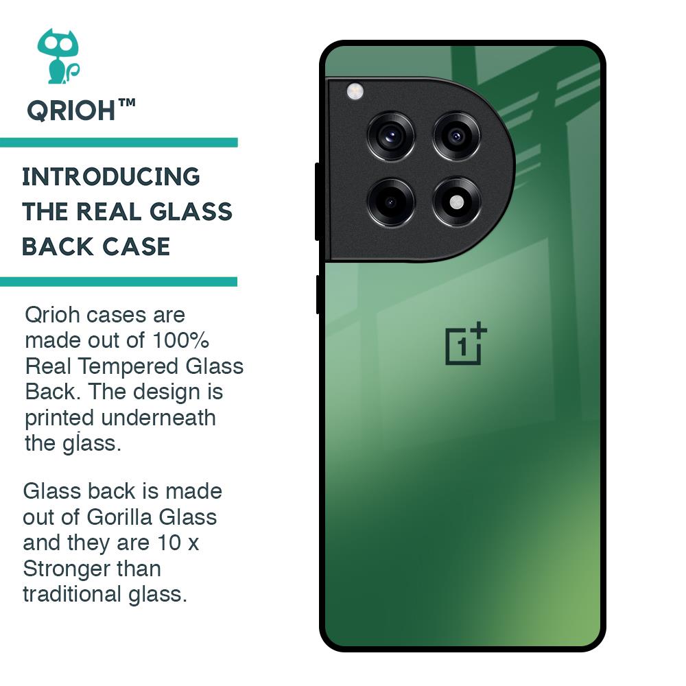 Green Grunge Texture Glass Case for OnePlus 12R 5G
