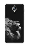 Lion Looking to Sky OnePlus 3T Back Cover