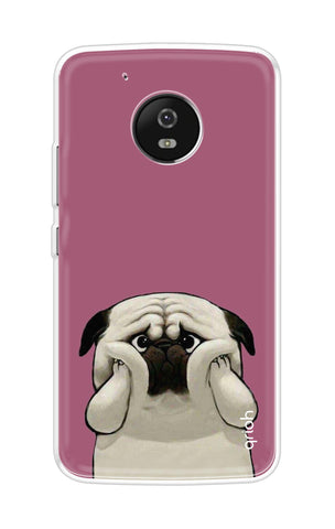 Chubby Dog Motorola Moto G5 Plus Back Cover