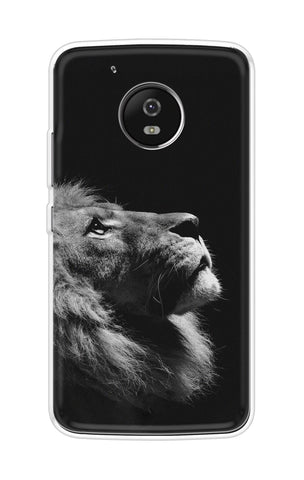Lion Looking to Sky Motorola Moto G5 Plus Back Cover