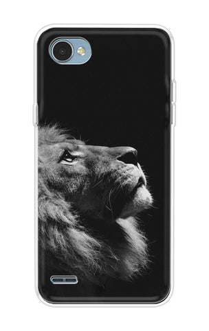 Lion Looking to Sky LG Q6 Back Cover