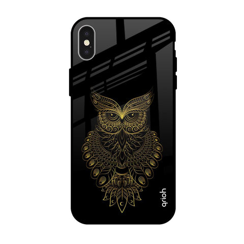 Golden Owl iPhone X Glass Back Cover Online