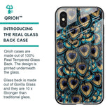 Peacock Feathers Glass case for iPhone X