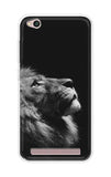 Lion Looking to Sky xiaomi redmi 5a Back Cover