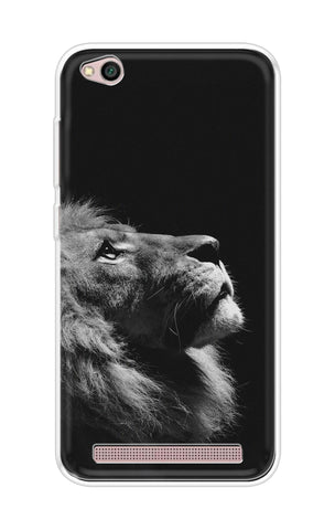 Lion Looking to Sky xiaomi redmi 5a Back Cover