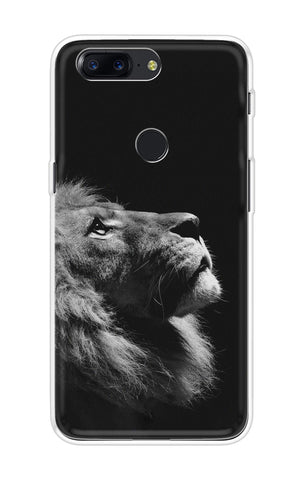 Lion Looking to Sky OnePlus 5T Back Cover