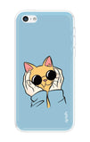 Attitude Cat iPhone 5 Back Cover