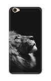 Lion Looking to Sky Vivo Y55s Back Cover