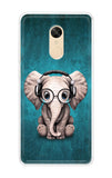 Party Animal Redmi Note 5 Back Cover