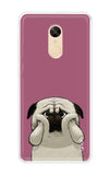 Chubby Dog Redmi Note 5 Back Cover
