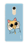 Attitude Cat Redmi Note 5 Back Cover
