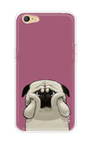 Chubby Dog Vivo Y71 Back Cover