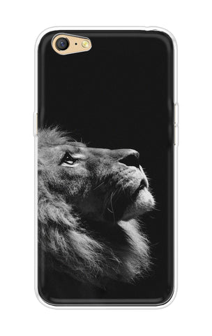 Lion Looking to Sky Vivo Y71 Back Cover