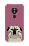 Chubby Dog Motorola Moto E5 Play Back Cover