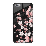 Black Cherry Blossom Apple iPhone 6 Glass Cases & Covers Online