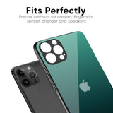 Palm Green Glass Case For iPhone 15