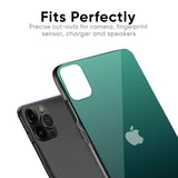Palm Green Glass Case For iPhone 12 mini