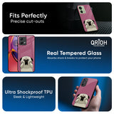 Funny Pug Face Glass Case For Motorola G84 5G