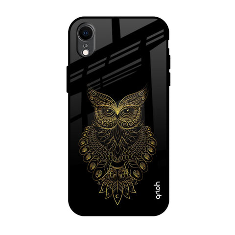 Golden Owl iPhone XR Glass Back Cover Online