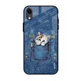 Kitty In Pocket iPhone XR Glass Back Cover Online