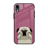 Funny Pug Face iPhone XR Glass Back Cover Online