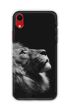 Lion Looking to Sky iPhone XR Back Cover