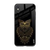 Golden Owl iPhone XS Glass Back Cover Online