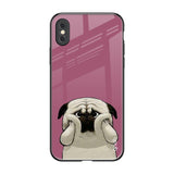 Funny Pug Face iPhone XS Glass Back Cover Online