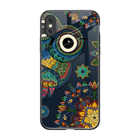 Owl Art iPhone XS Glass Back Cover Online