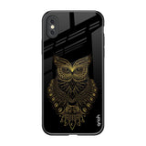 Golden Owl iPhone XS Max Glass Back Cover Online