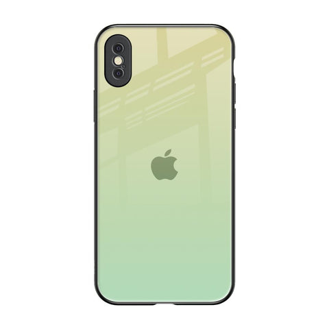 Mint Green Gradient iPhone XS Max Glass Back Cover Online