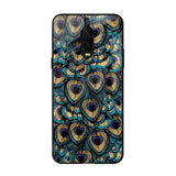 Peacock Feathers OnePlus 6T Glass Cases & Covers Online