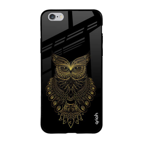 Golden Owl iPhone 6 Plus Glass Back Cover Online