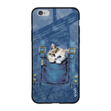 Kitty In Pocket iPhone 6 Plus Glass Back Cover Online