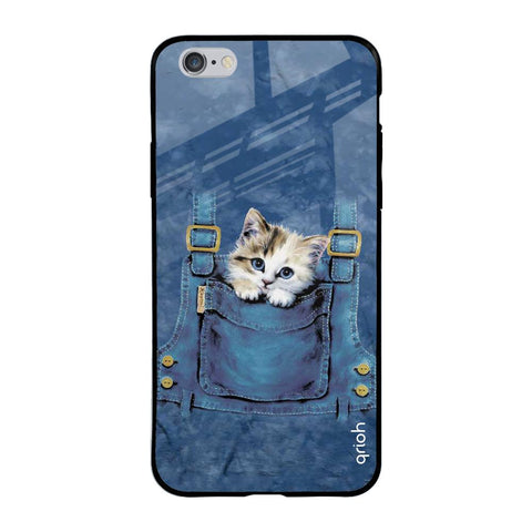 Kitty In Pocket iPhone 6 Plus Glass Back Cover Online