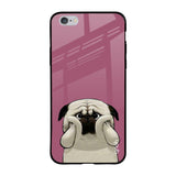 Funny Pug Face iPhone 6 Plus Glass Back Cover Online