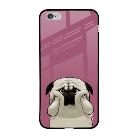Funny Pug Face iPhone 6 Plus Glass Back Cover Online