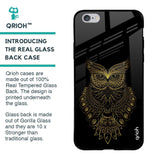 Golden Owl Glass Case for iPhone 6 Plus