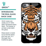 Angry Tiger Glass Case For iPhone 6 Plus