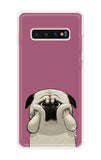 Chubby Dog Samsung Galaxy S10 Plus Back Cover