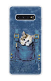 Hide N Seek Samsung Galaxy S10 Plus Back Cover