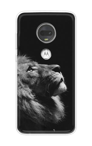 Lion Looking to Sky Motorola Moto G7 Back Cover