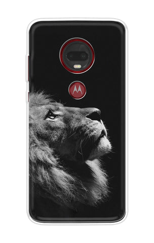 Lion Looking to Sky Motorola Moto G7 Plus Back Cover