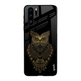 Golden Owl Huawei P30 Pro Glass Back Cover Online