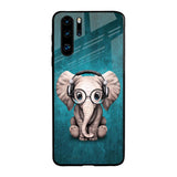 Adorable Baby Elephant Huawei P30 Pro Glass Back Cover Online