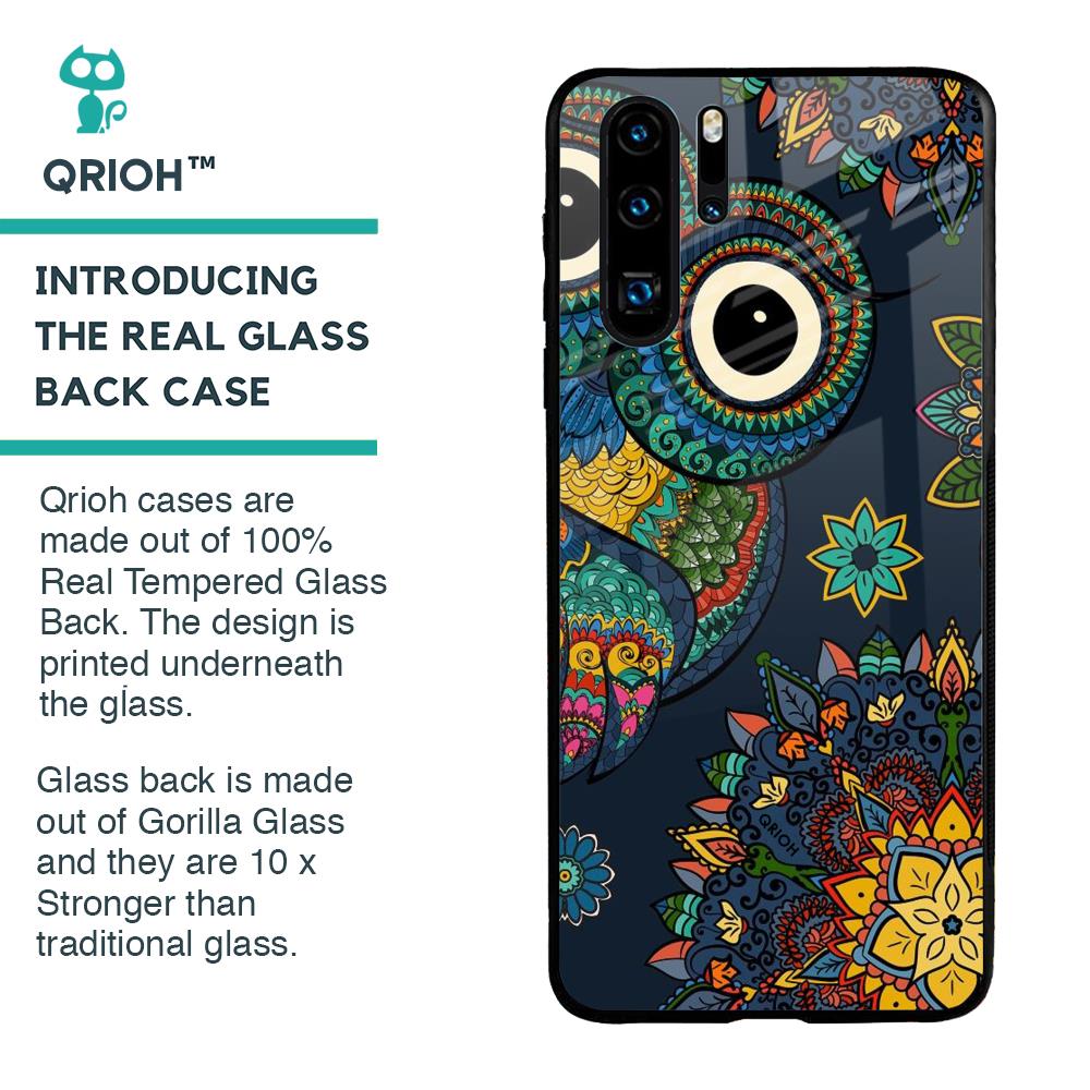 Owl Art Glass Case for Huawei P30 Pro
