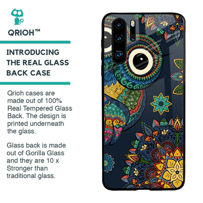 Owl Art Glass Case for Huawei P30 Pro
