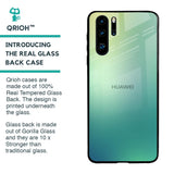 Dusty Green Glass Case for Huawei P30 Pro