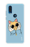 Attitude Cat Motorola One Vision Back Cover