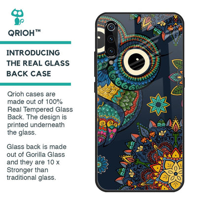 Owl Art Glass Case for Xiaomi Mi A3